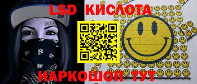 2c-b Гатчина