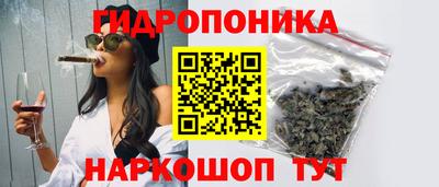 2c-b Гатчина
