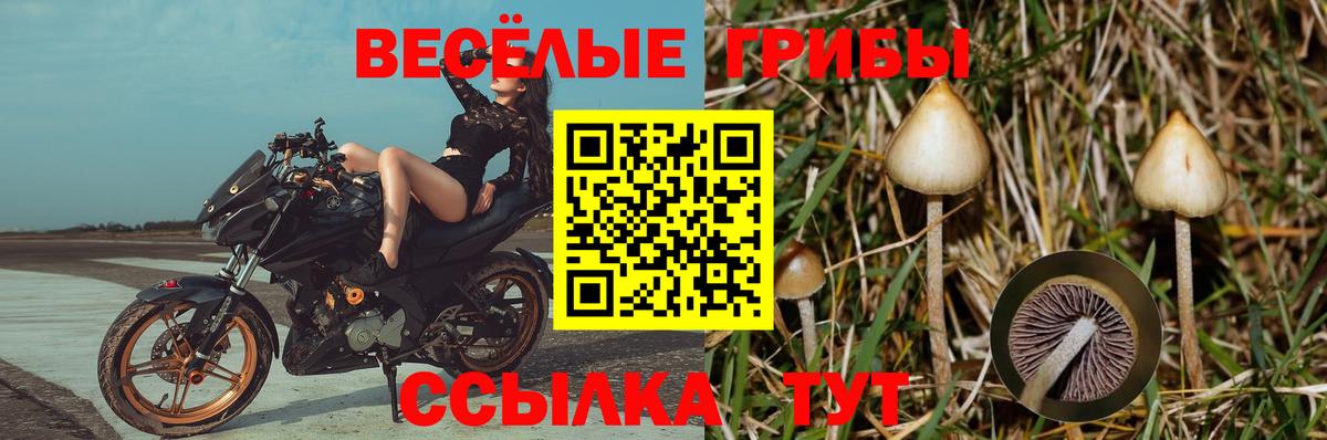 Псилоцибиновые грибы Magic Shrooms Армавир